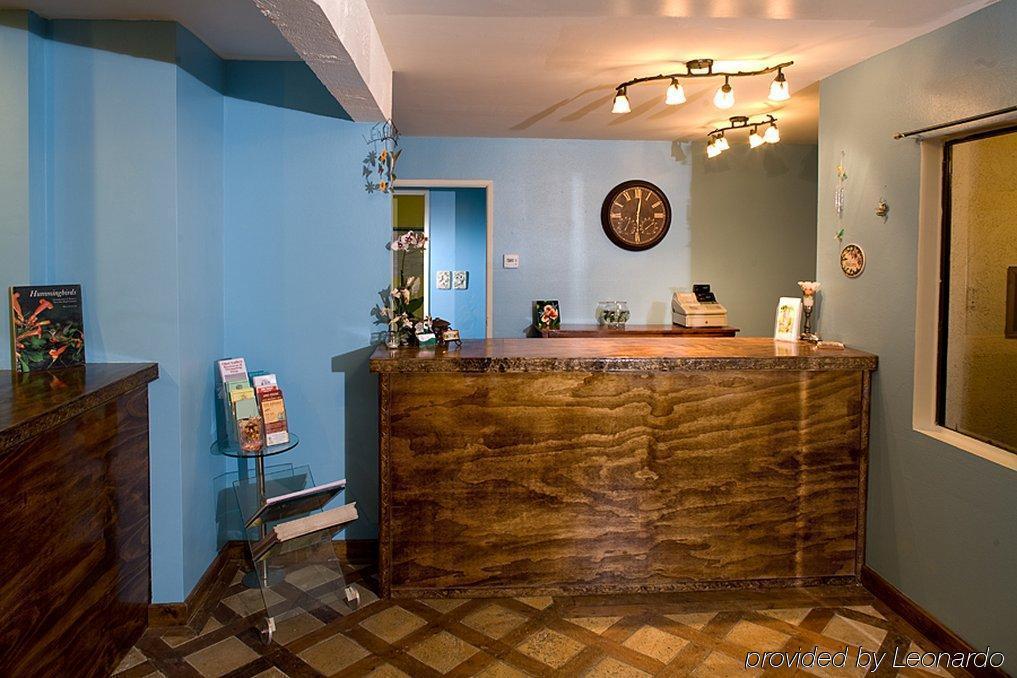 Hummingbird Inn Охай Интериор снимка